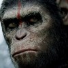 Imagem 1 do filme Planeta dos Macacos: O Confronto