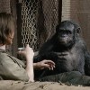 Imagem 2 do filme Planeta dos Macacos: O Confronto