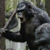 Imagem 9 do filme Planeta dos Macacos: O Confronto