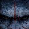 Imagem 11 do filme Planeta dos Macacos: O Confronto