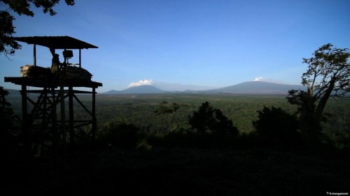 Imagem 4 do filme Virunga