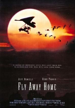Imagem 1 do filme Voando para Casa