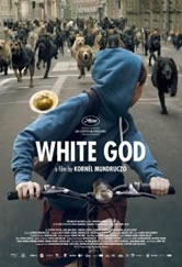 Poster do filme White God