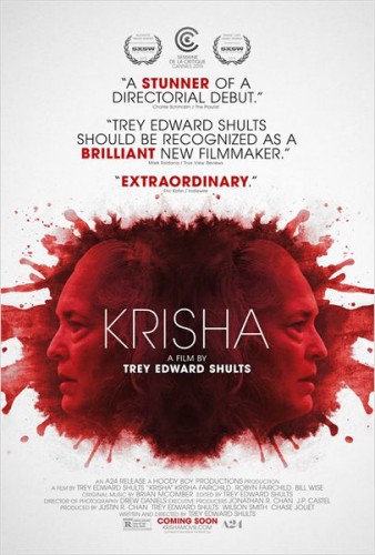 Imagem 1 do filme Krisha