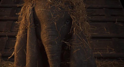 Imagem 4 do filme Dumbo