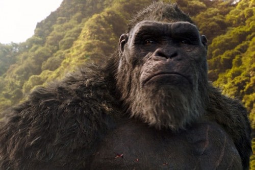 Imagem 4 do filme Godzilla vs. Kong