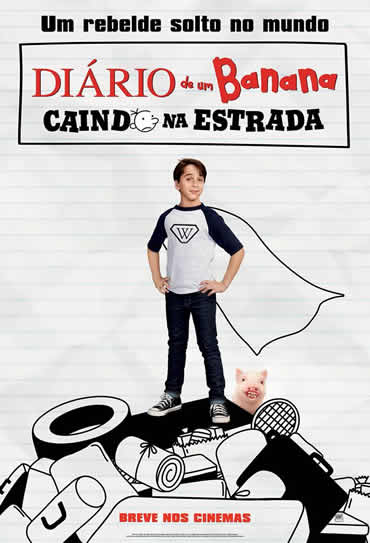 Dvd Caindo Na Estrada