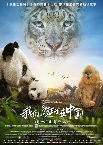 Imagem 5 do filme Born in China