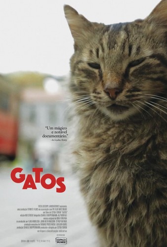 Imagem 1 do filme Gatos