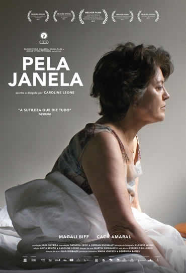 Poster do filme Pela Janela