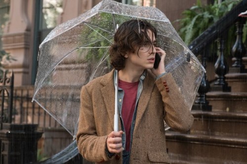 Imagem 1 do filme Um Dia de Chuva em Nova York