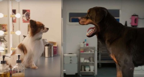 Imagem 1 do filme Show Dogs - O Agente Canino