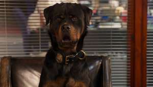 Imagem 2 do filme Show Dogs - O Agente Canino