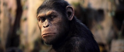 Imagem 1 do filme Planeta dos Macacos: A Origem