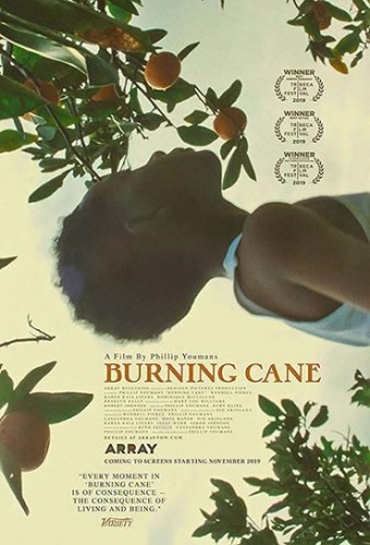 Imagem 1 do filme Burning Cane