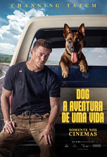 Poster do filme Dog - A Aventura de Uma Vida