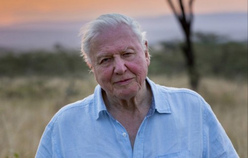 Imagem 2 do filme David Attenborough e o Nosso Planeta