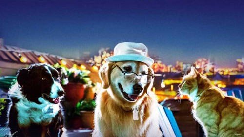 Imagem 3 do filme Como Cães e Gatos 3: Peludos Unidos!