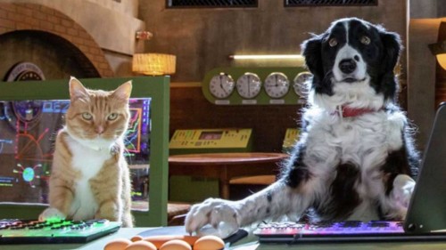 Imagem 5 do filme Como Cães e Gatos 3: Peludos Unidos!