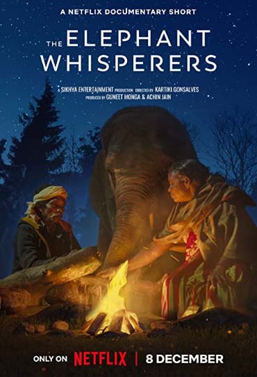Poster do filme Como Cuidar de um Bebê Elefante