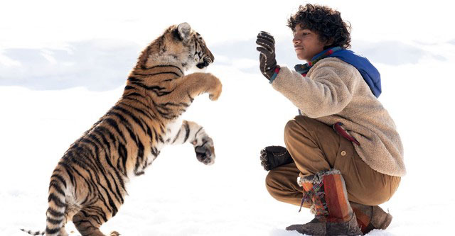 Imagem 2 do filme O Menino e o Tigre