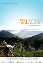 Poster do filme Walachai