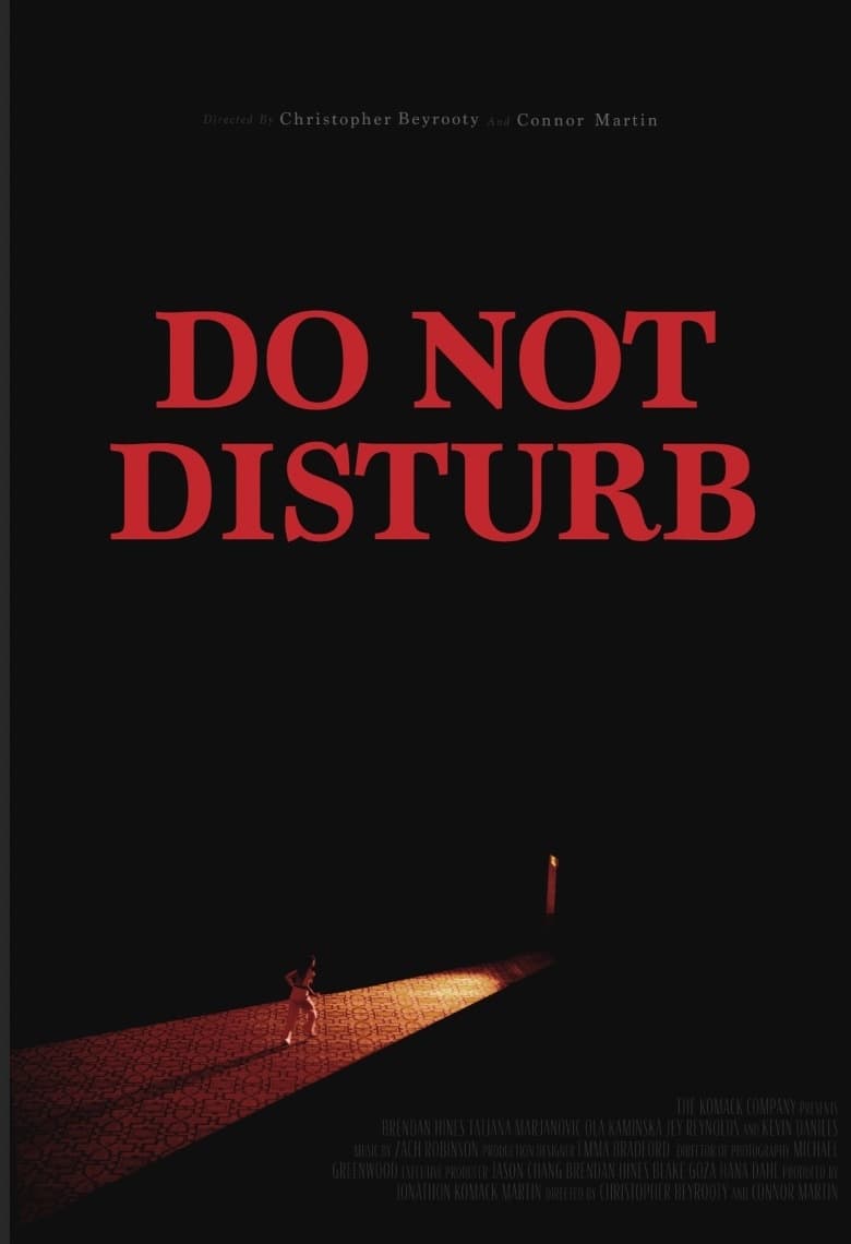 Poster do filme Do Not Disturb