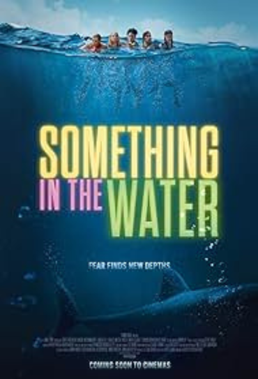 Poster do filme Something in the Water