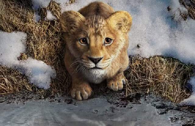 Imagem 3 do filme Mufasa: O Rei Leão