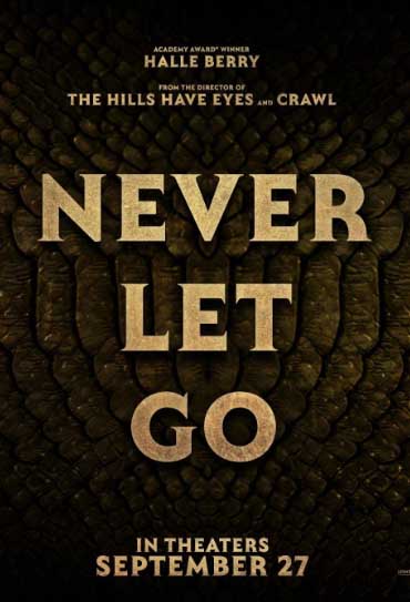 Poster do filme Never Let Go
