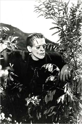 Imagem 2 do filme Frankenstein