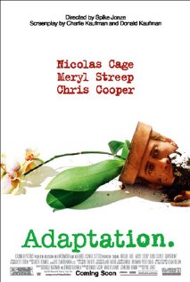 Poster do filme Adaptação