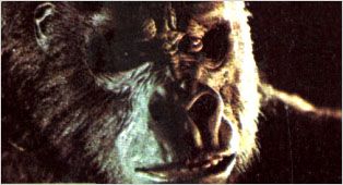Imagem 2 do filme King Kong
