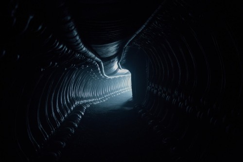 Imagem 4 do filme Alien: Covenant