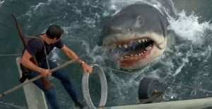 Imagem 1 do filme Tubarão 2