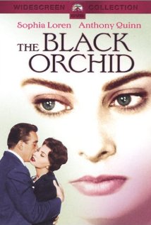 Poster do filme A Orquídea Negra