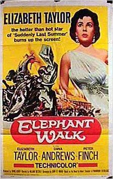 Imagem 5 do filme No Caminho dos Elefantes