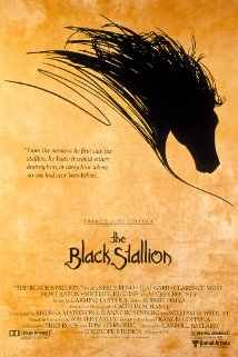 Poster do filme O Corcel Negro