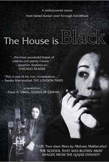 Poster do filme A Casa é Escura