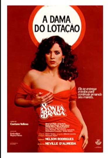 Poster do filme A Dama do Lotação