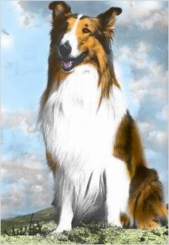 Imagem 3 do filme A Magia de Lassie