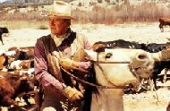 Imagem 1 do filme Os Cowboys