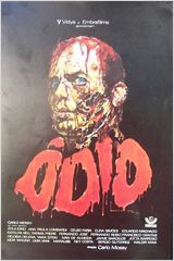 Poster do filme Ódio