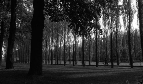 Imagem 2 do filme Parque Soviético