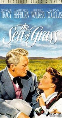 Poster do filme Mar Verde
