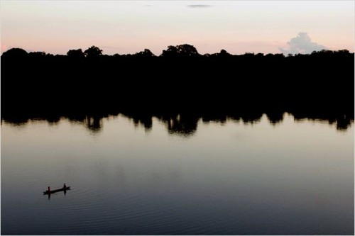 Imagem 1 do filme Amazônia Eterna