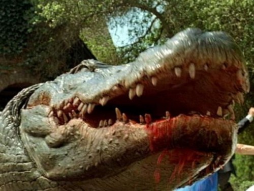 Imagem 4 do filme Alligator - O Jacaré Gigante