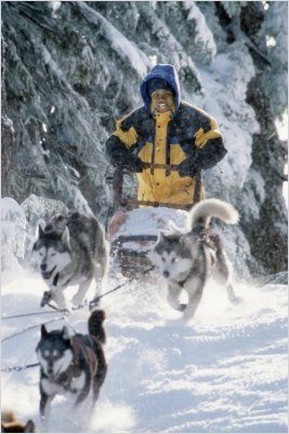 Imagem 4 do filme Neve pra Cachorro