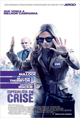 Poster do filme Especialista em Crise