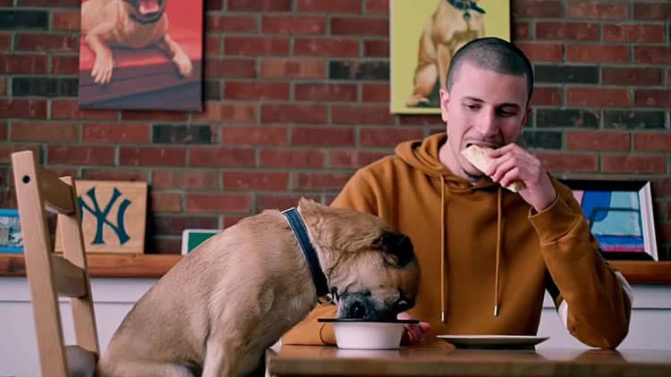 Netflix revela vídeo com os melhores momentos do cachorro de É o Bruno! 